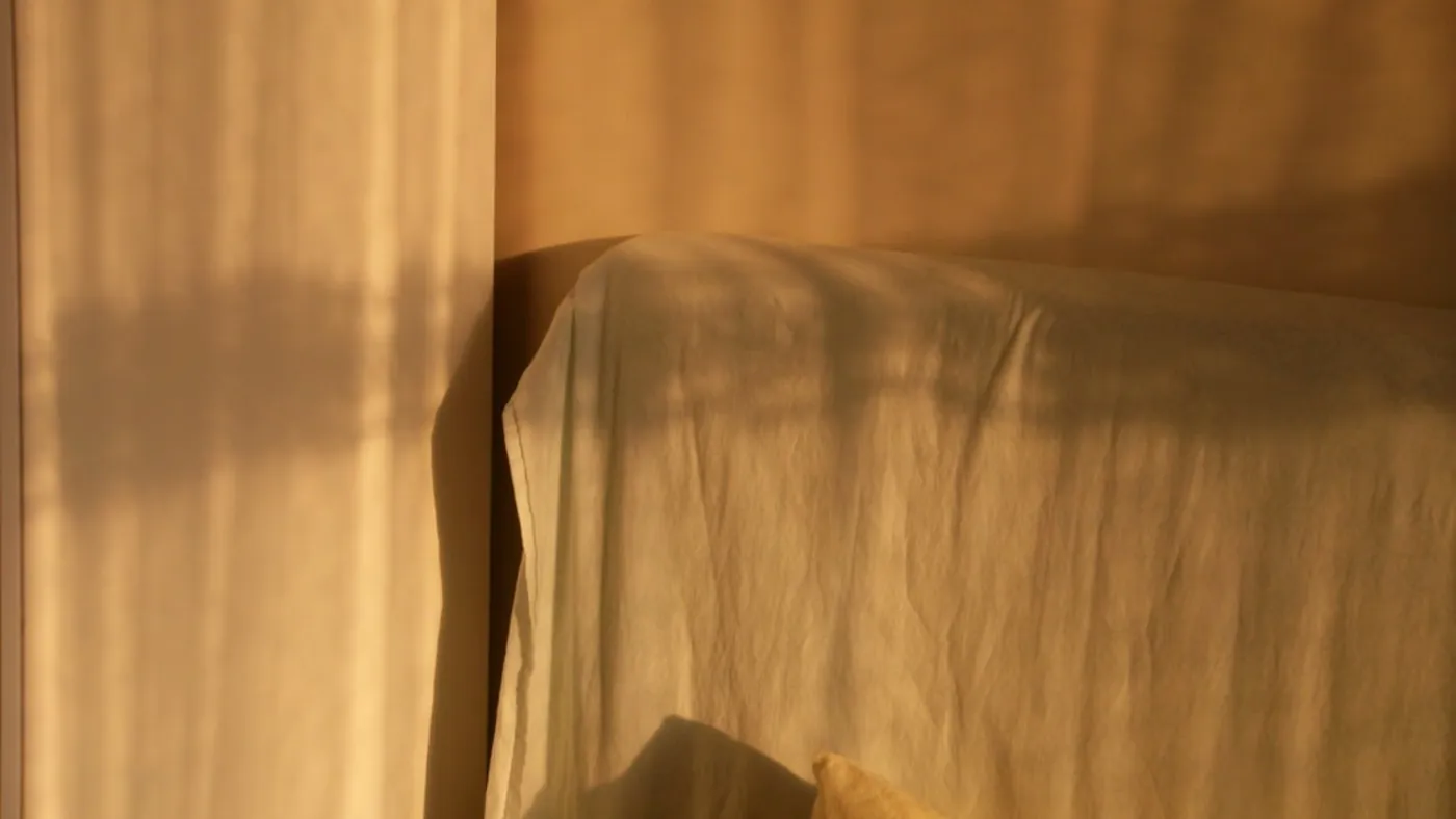Light is the strongest signal your circadian system has — curtains open beats any amount of willpower.